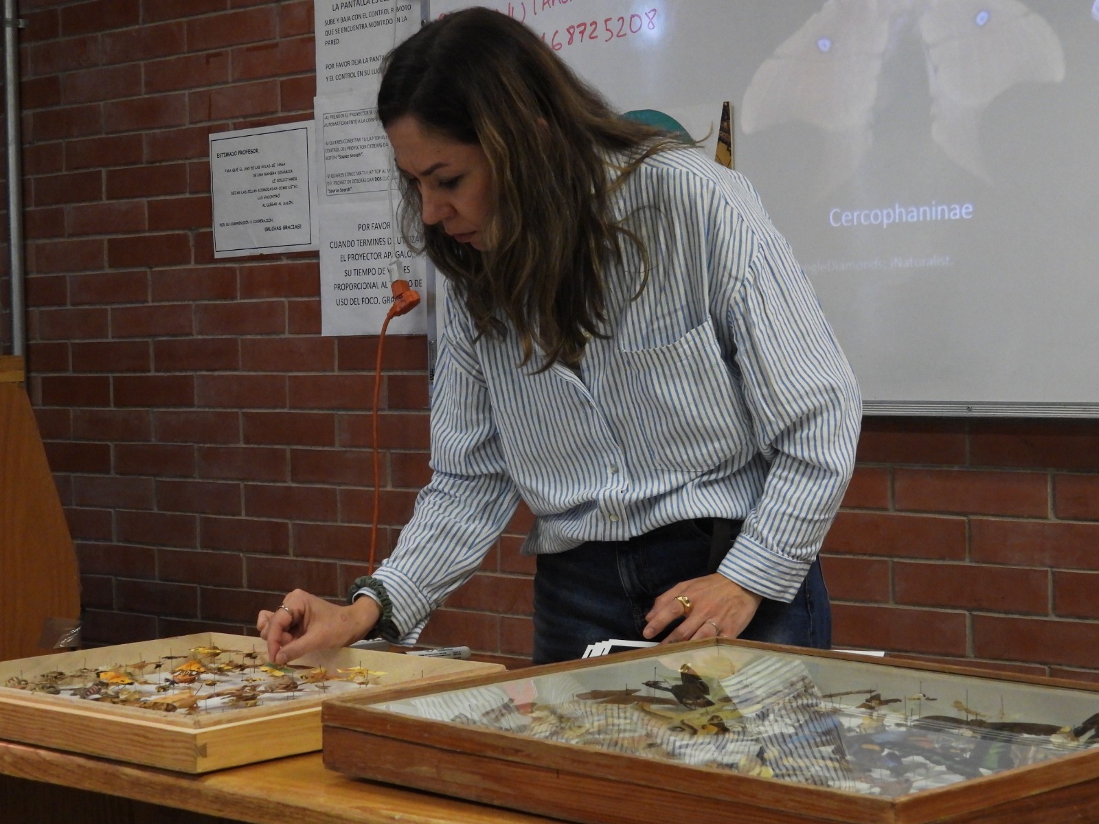 WhatsApp Image 2025-11-04 at 12.04.22 (4).jpeg