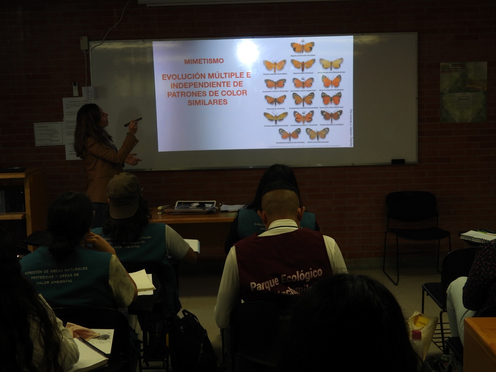 WhatsApp Image 2025-11-04 at 12.04.22 (2).jpeg