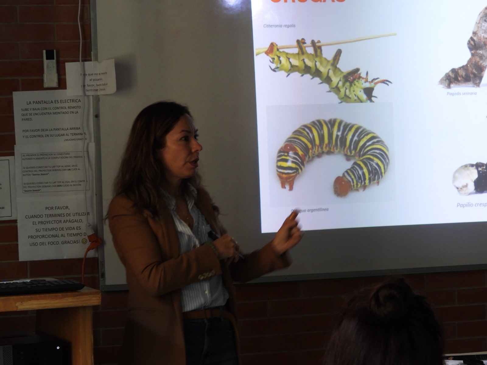 WhatsApp Image 2025-11-04 at 12.04.22 (1).jpeg