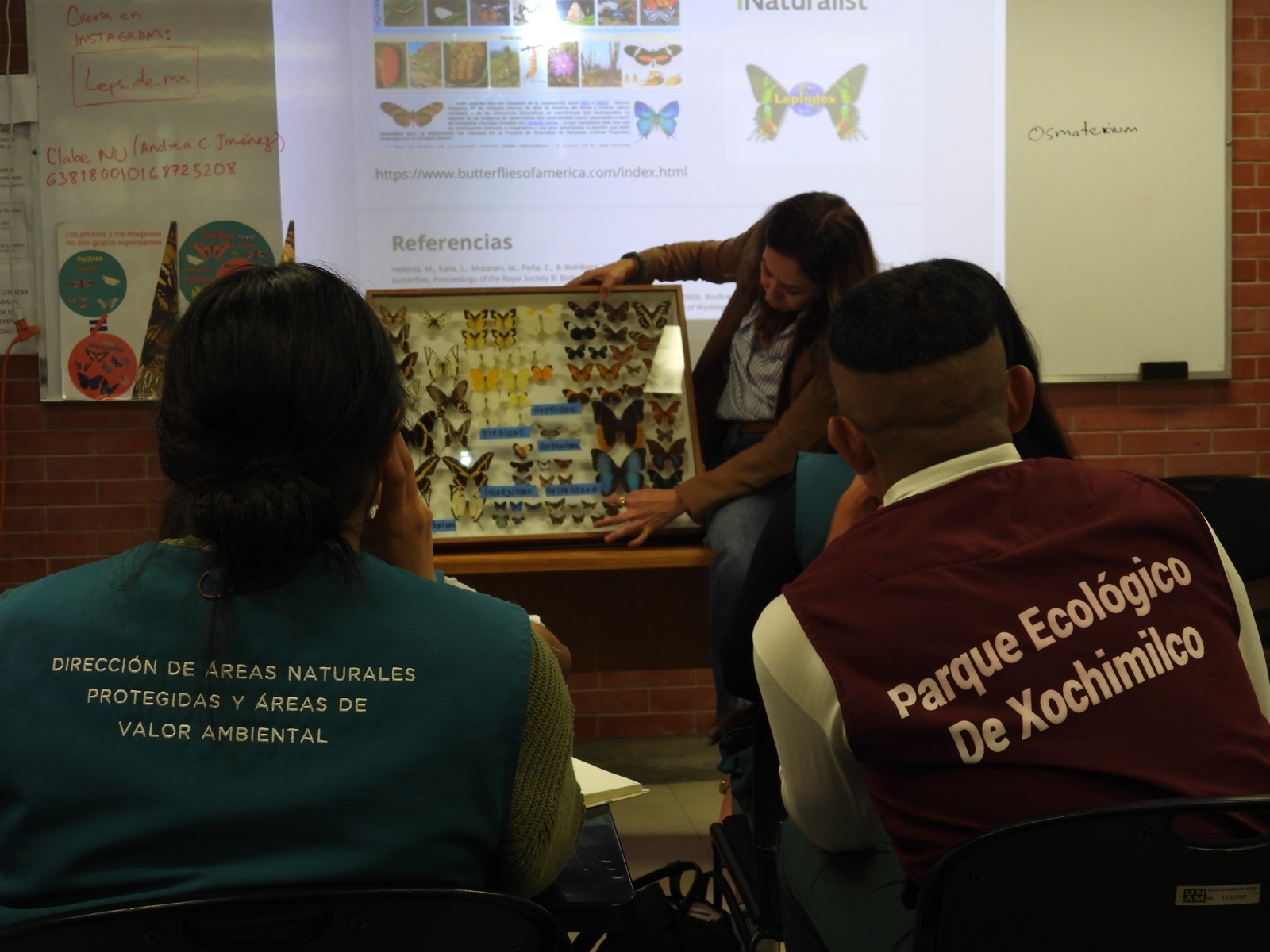 WhatsApp Image 2025-11-04 at 12.04.21 (4).jpeg