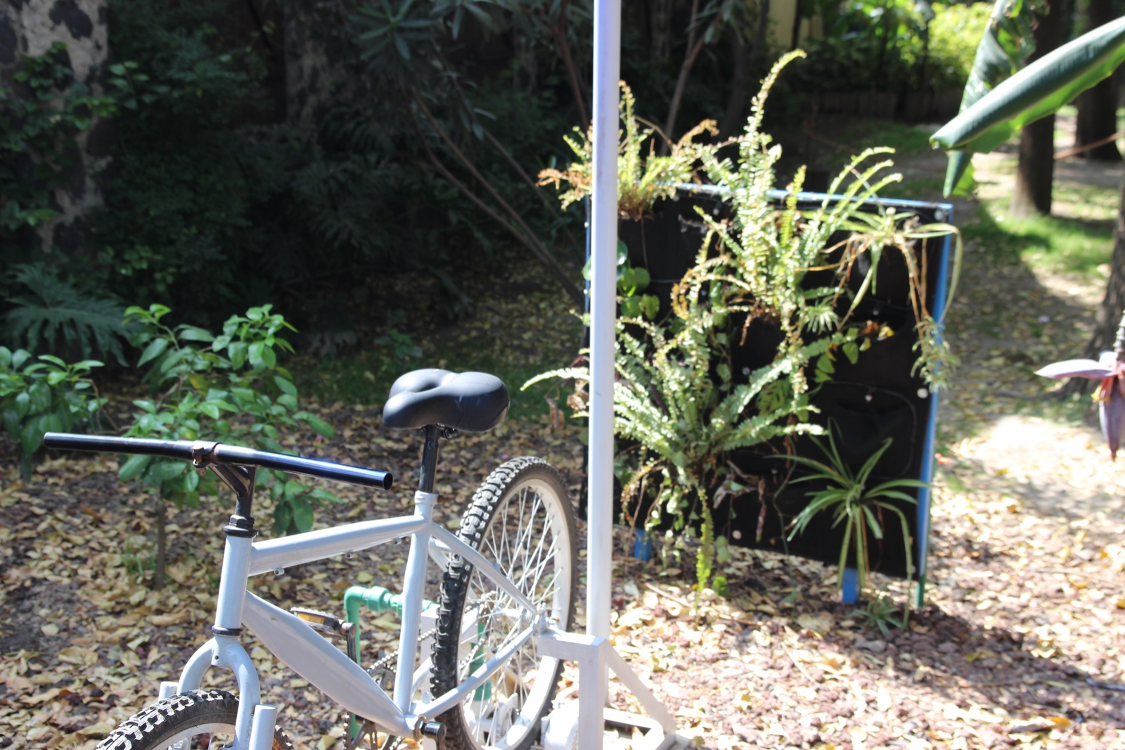 PHOTO-2025-11-10-10-52-21 8.jpg