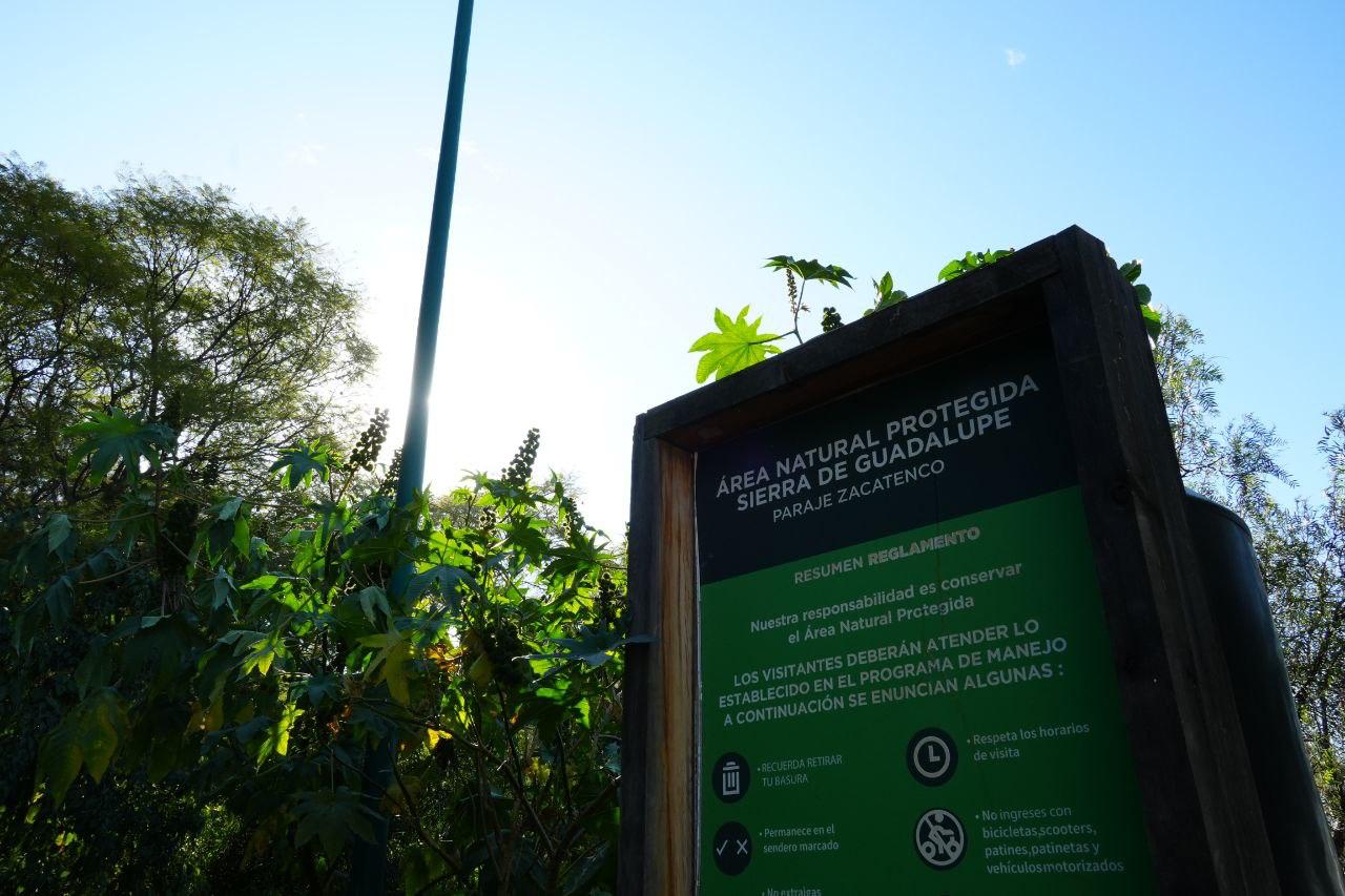 WhatsApp Image 2025-11-15 at 5.27.05 PM.jpeg