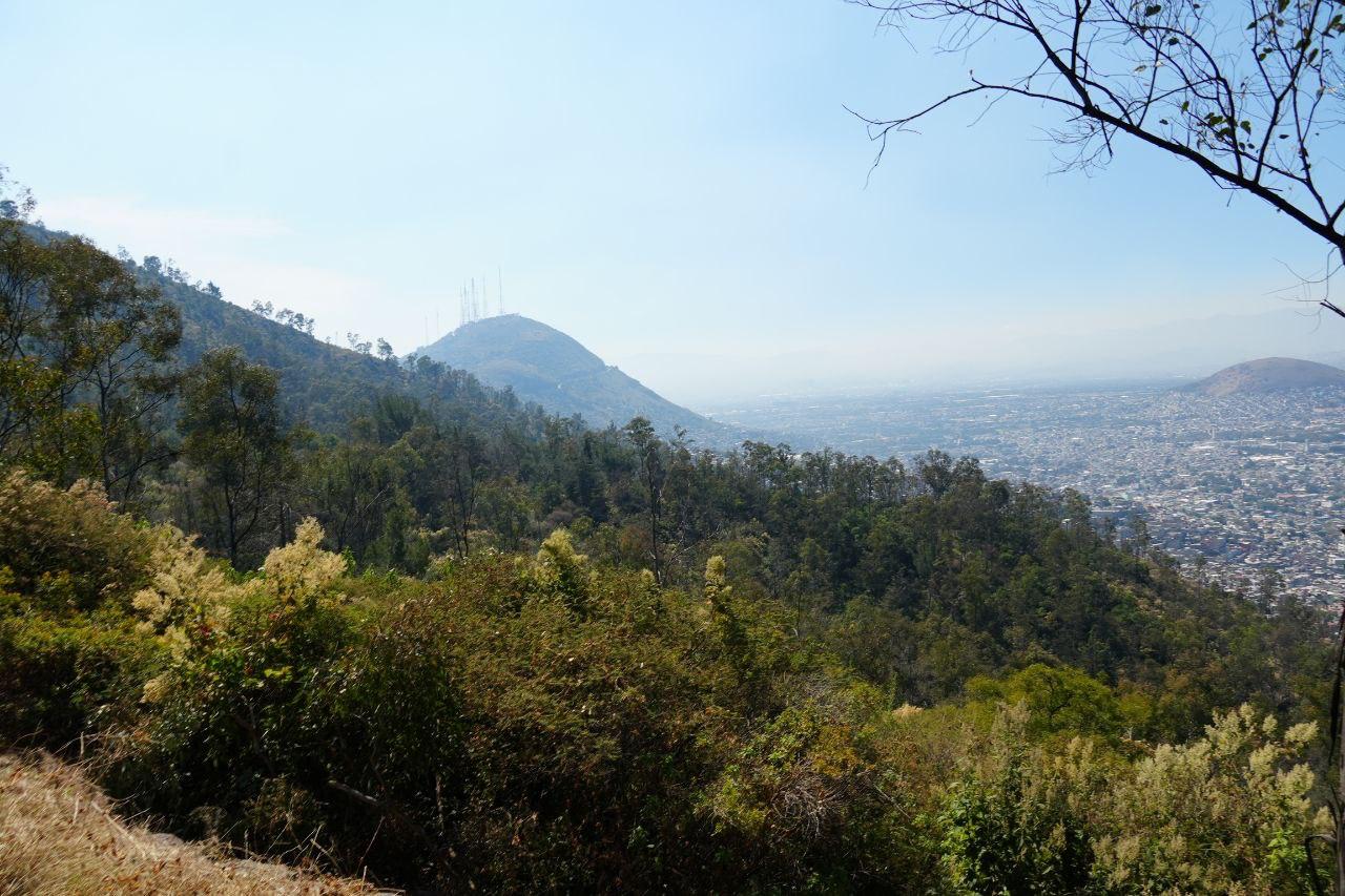 WhatsApp Image 2025-11-15 at 5.30.37 PM.jpeg