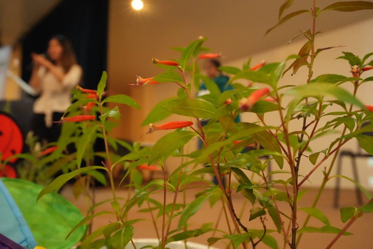 WhatsApp Image 2025-11-15 at 4.31.29 PM (2).jpeg