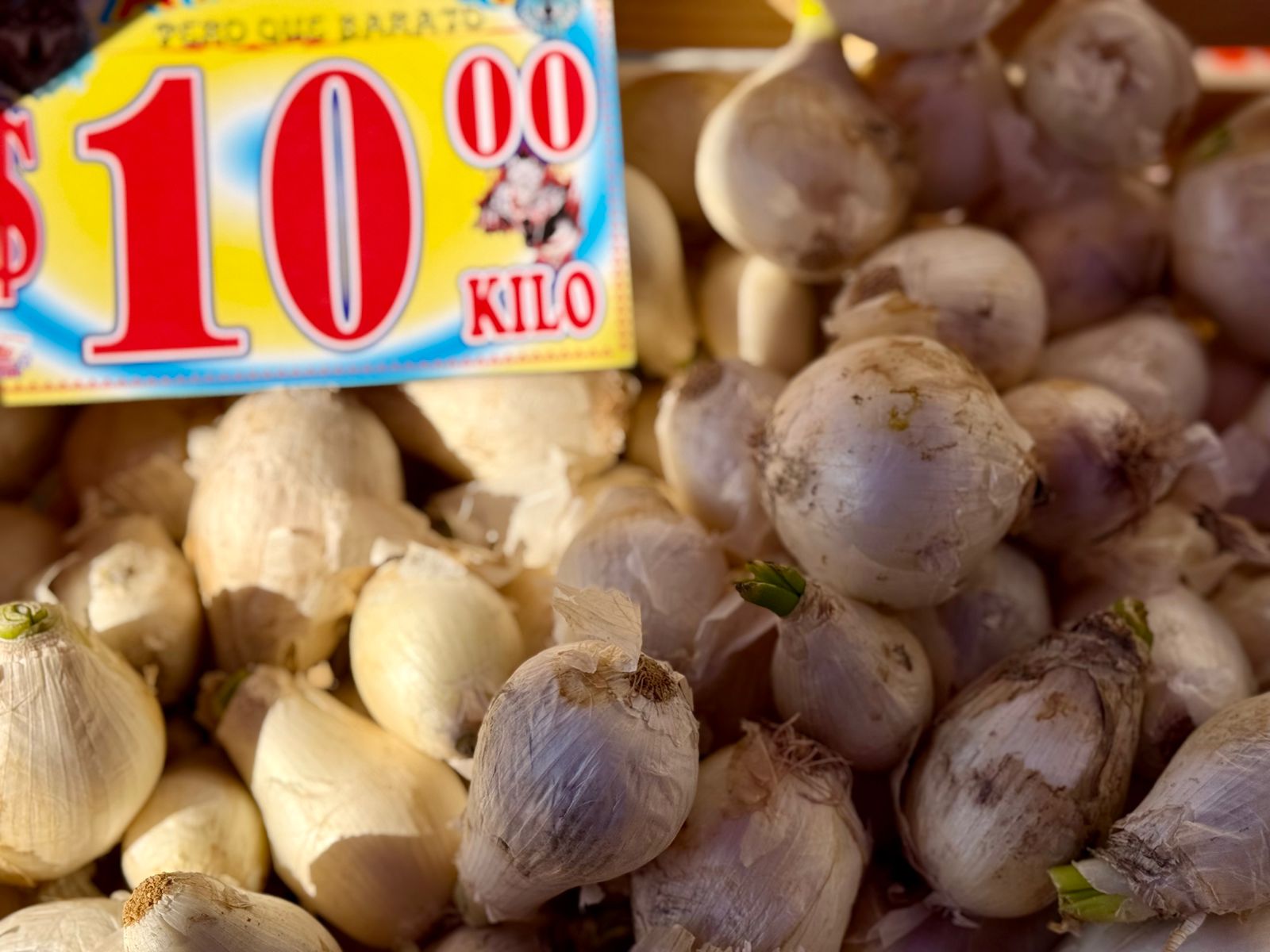 WhatsApp Image 2025-11-16 at 12.43.29 PM (1).jpeg