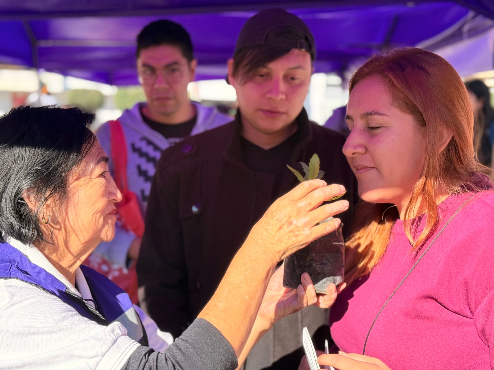 WhatsApp Image 2025-11-16 at 12.43.29 PM (3).jpeg