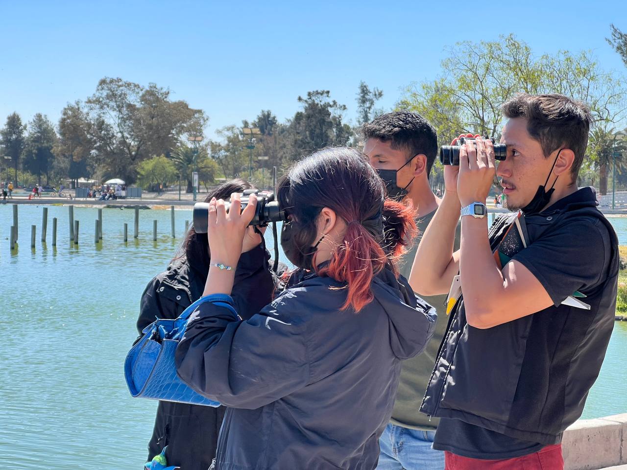 WhatsApp Image 2025-11-18 at 16.57.21 (1).jpeg