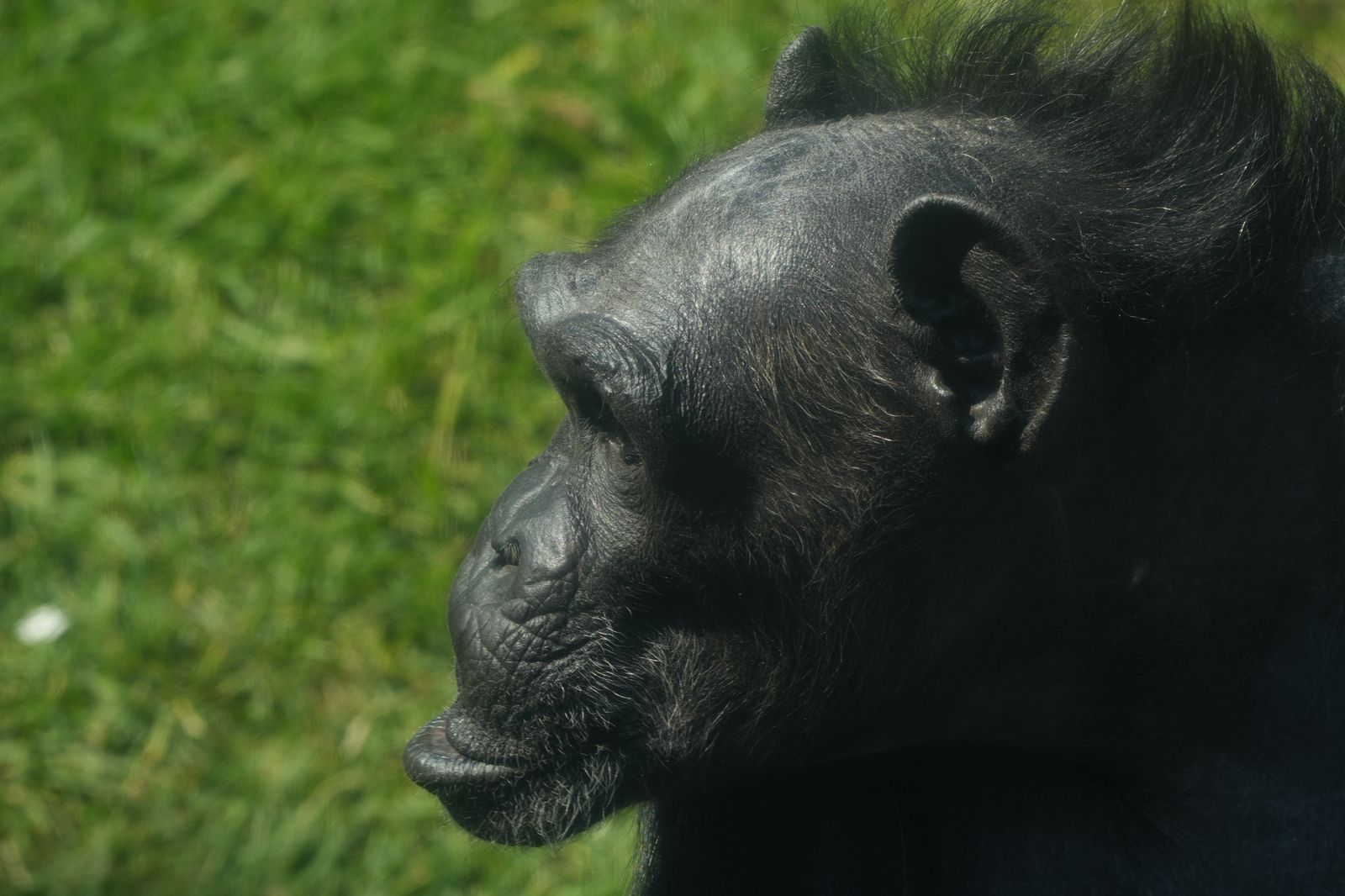 WhatsApp Image 2025-11-19 at 13.28.26 (4).jpeg