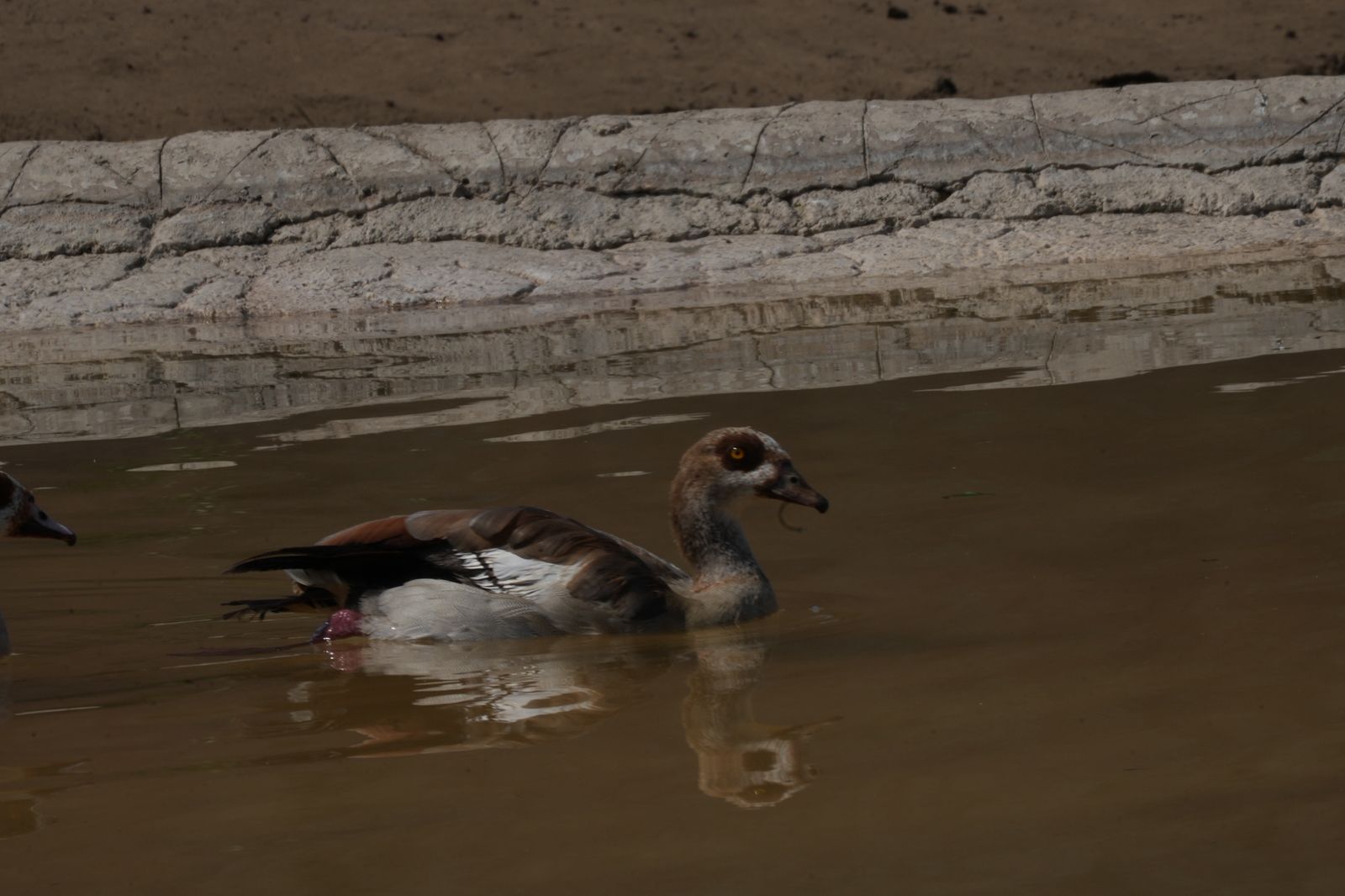 WhatsApp Image 2025-11-19 at 13.28.26 (9).jpeg