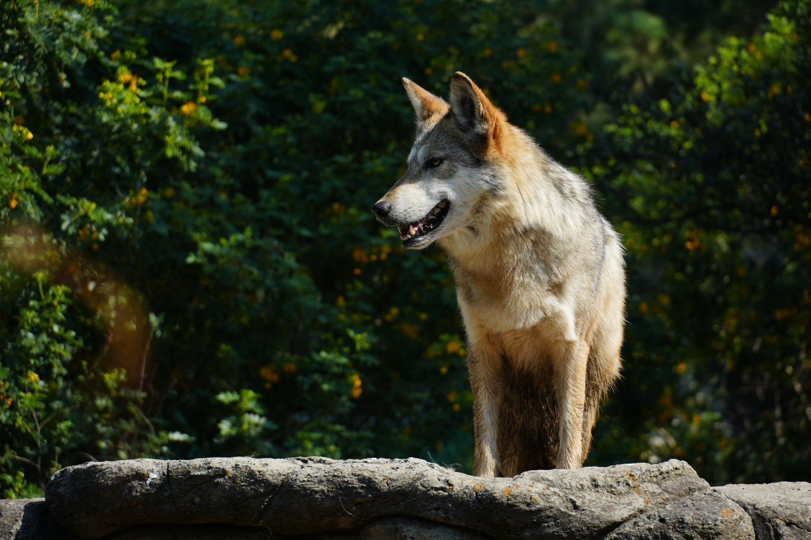 WhatsApp Image 2025-11-19 at 13.28.27.jpeg