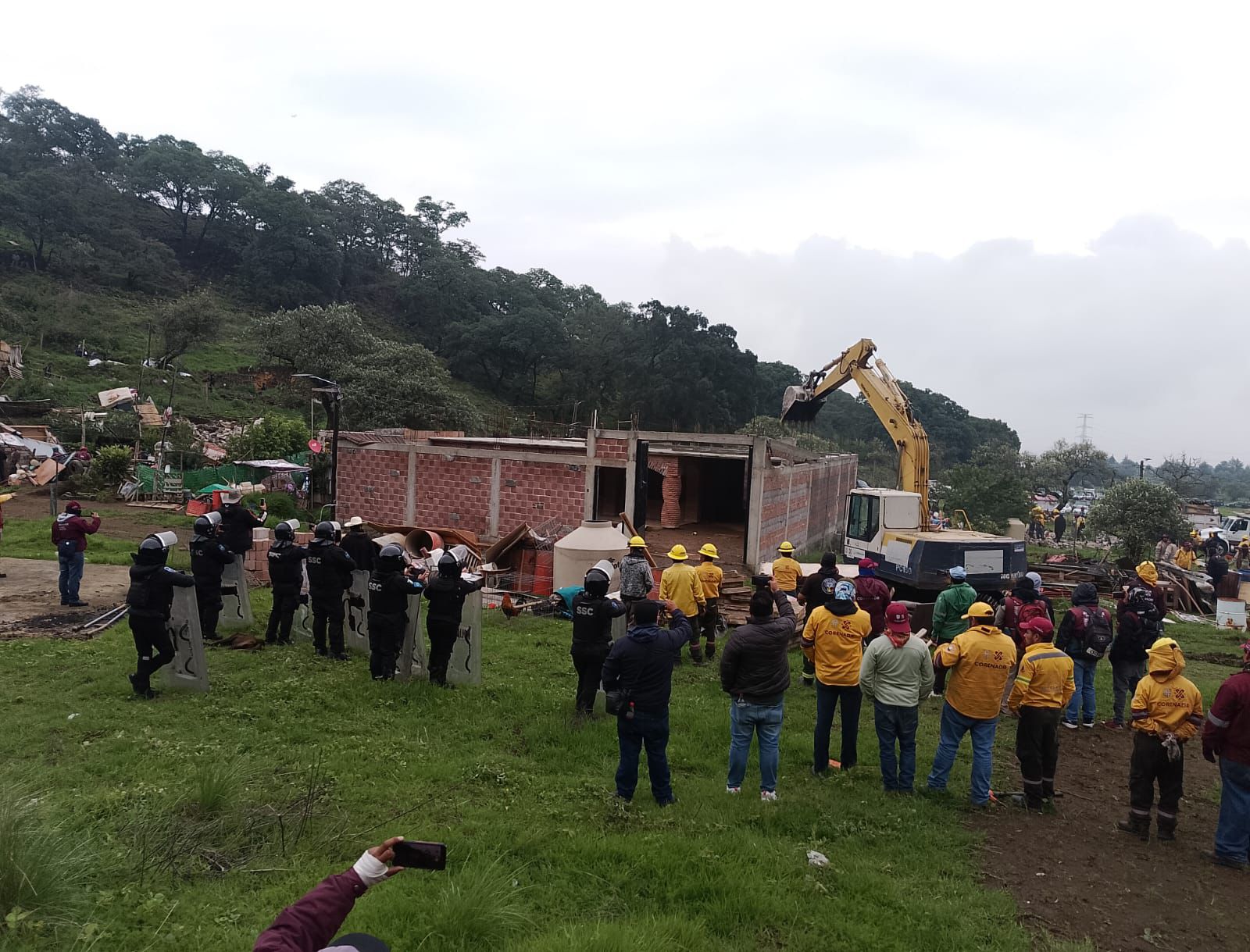 WhatsApp Image 2025-11-19 at 16.24.14.jpeg