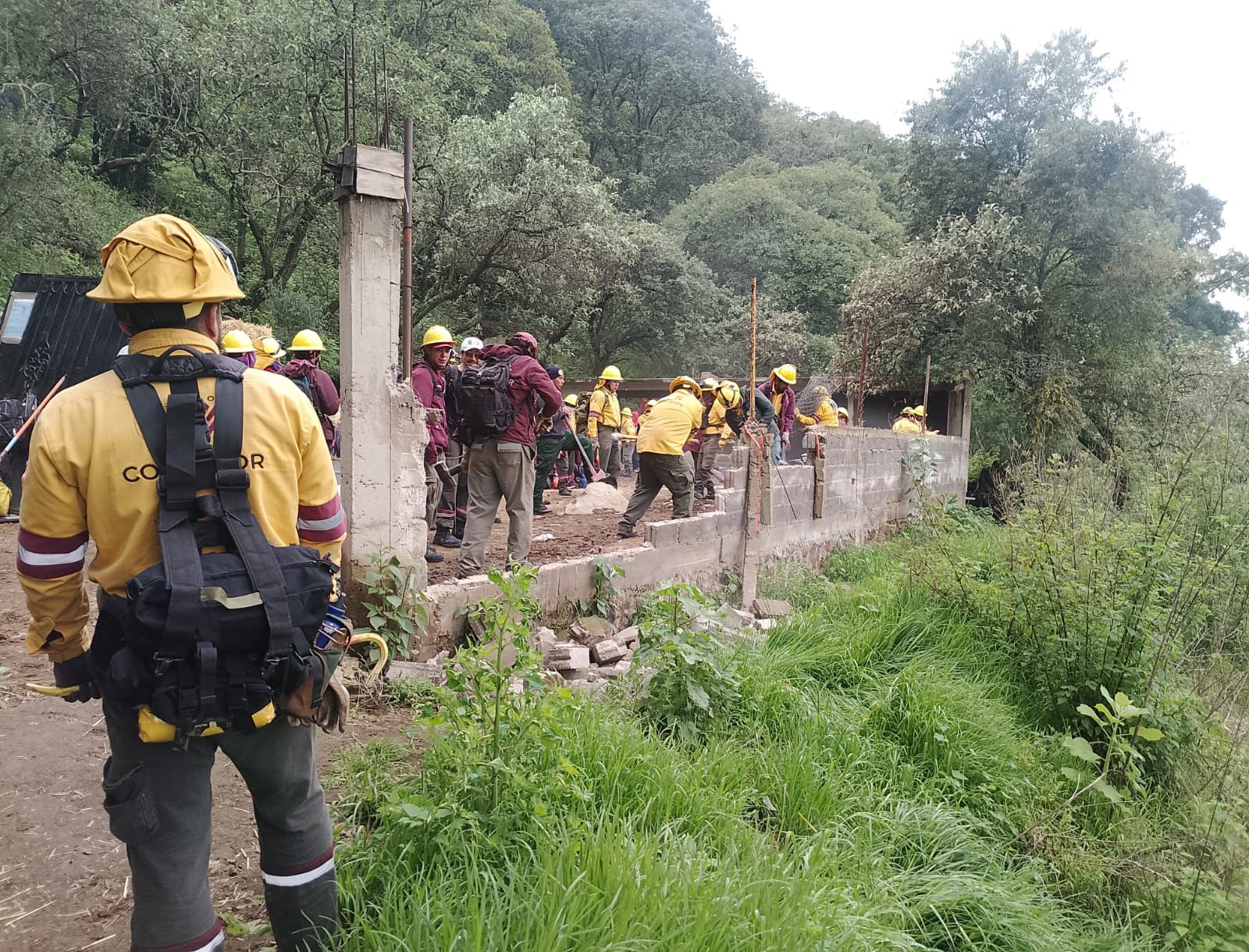 WhatsApp Image 2025-11-19 at 16.24.14 (1).jpeg