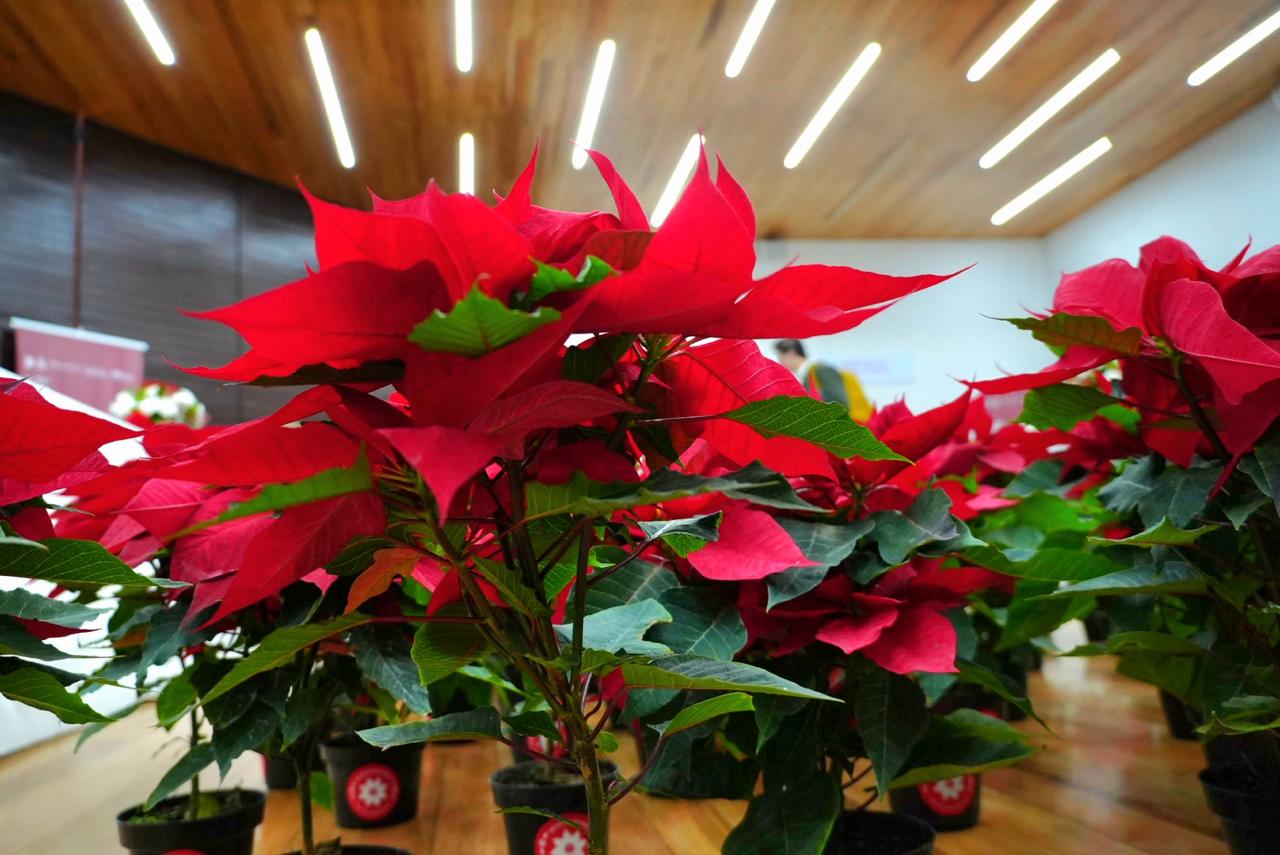 WhatsApp Image 2025-11-26 at 14.13.39.jpeg