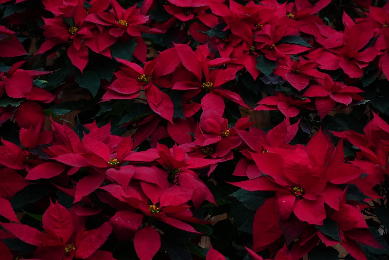 WhatsApp Image 2025-11-26 at 14.13.40 (3).jpeg