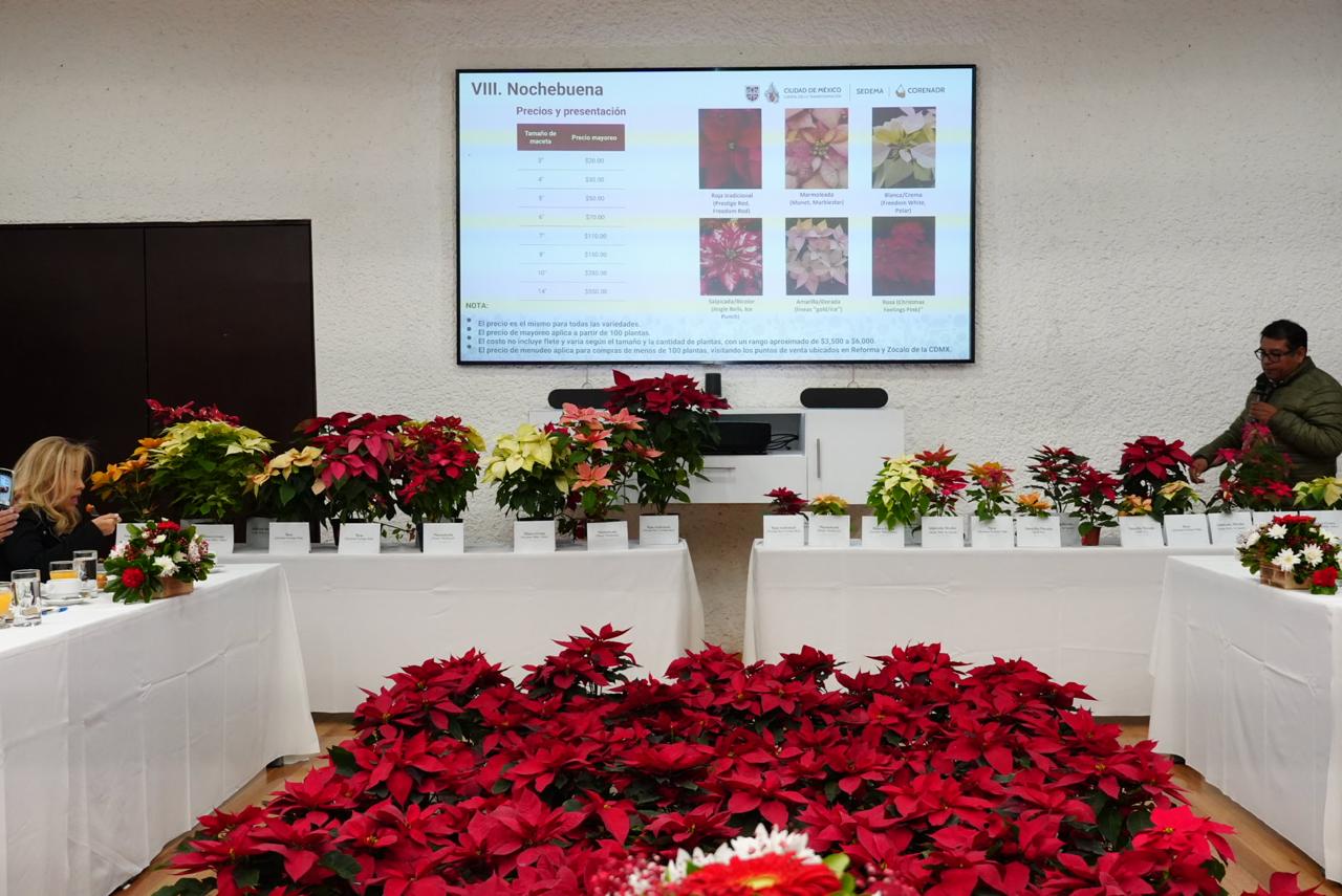 WhatsApp Image 2025-11-26 at 14.13.41 (1).jpeg