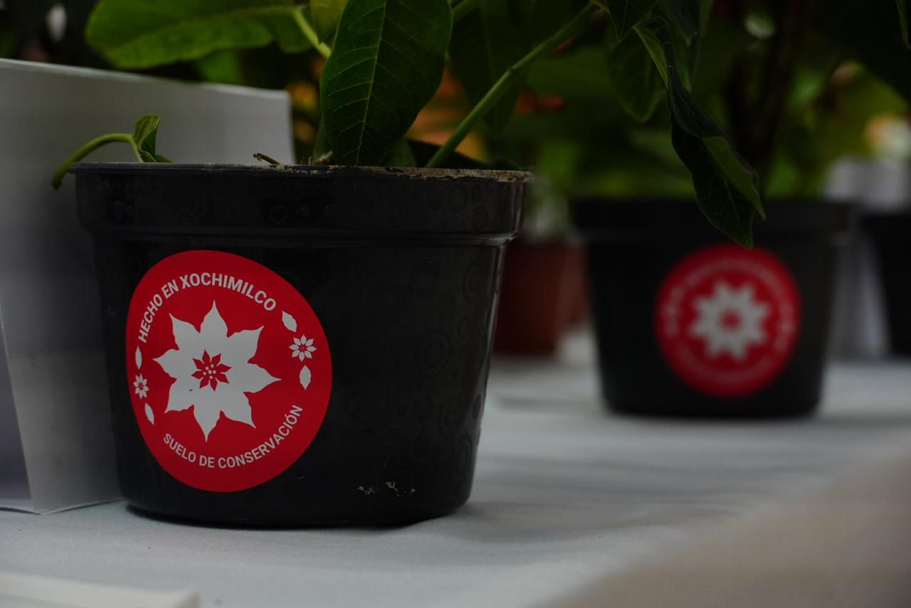 WhatsApp Image 2025-11-26 at 14.13.41.jpeg