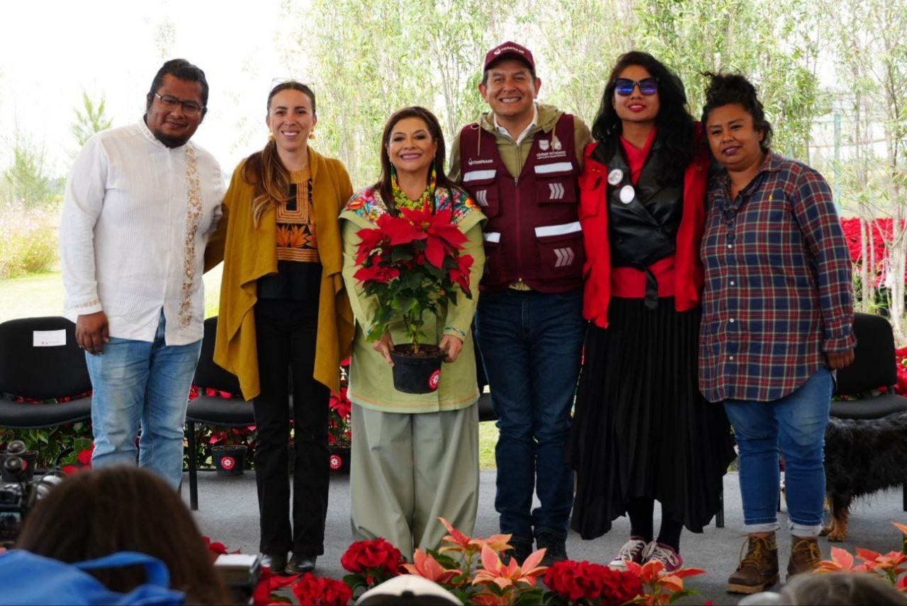 WhatsApp Image 2025-11-28 at 15.46.54.jpeg