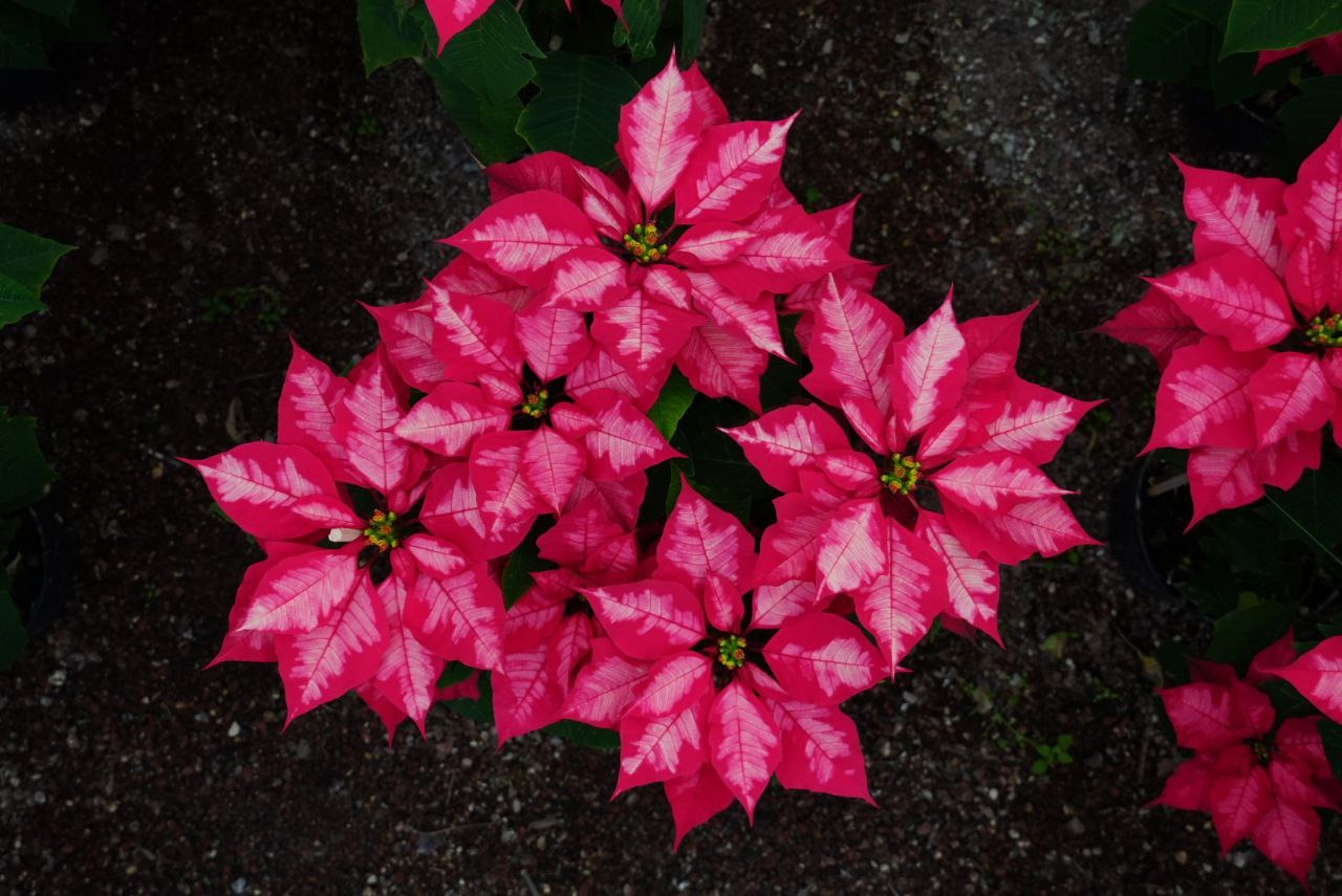 WhatsApp Image 2025-11-28 at 15.46.55 (3).jpeg