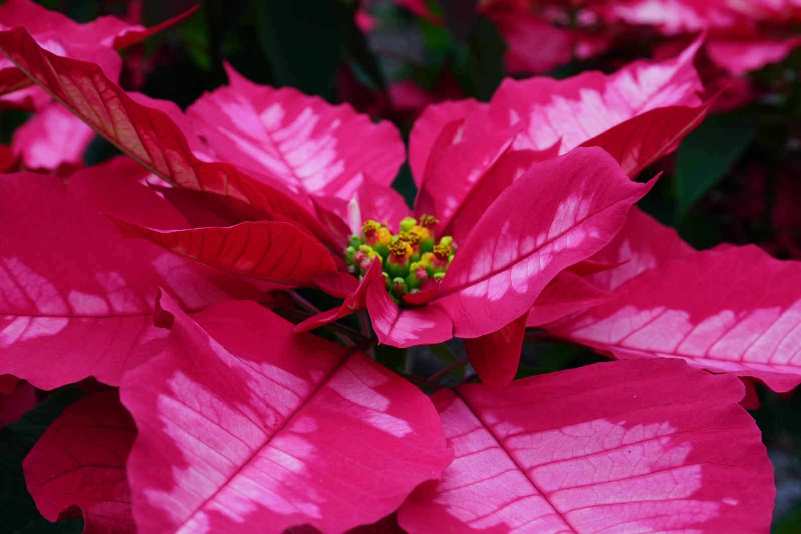 WhatsApp Image 2025-11-28 at 15.46.55 (2).jpeg