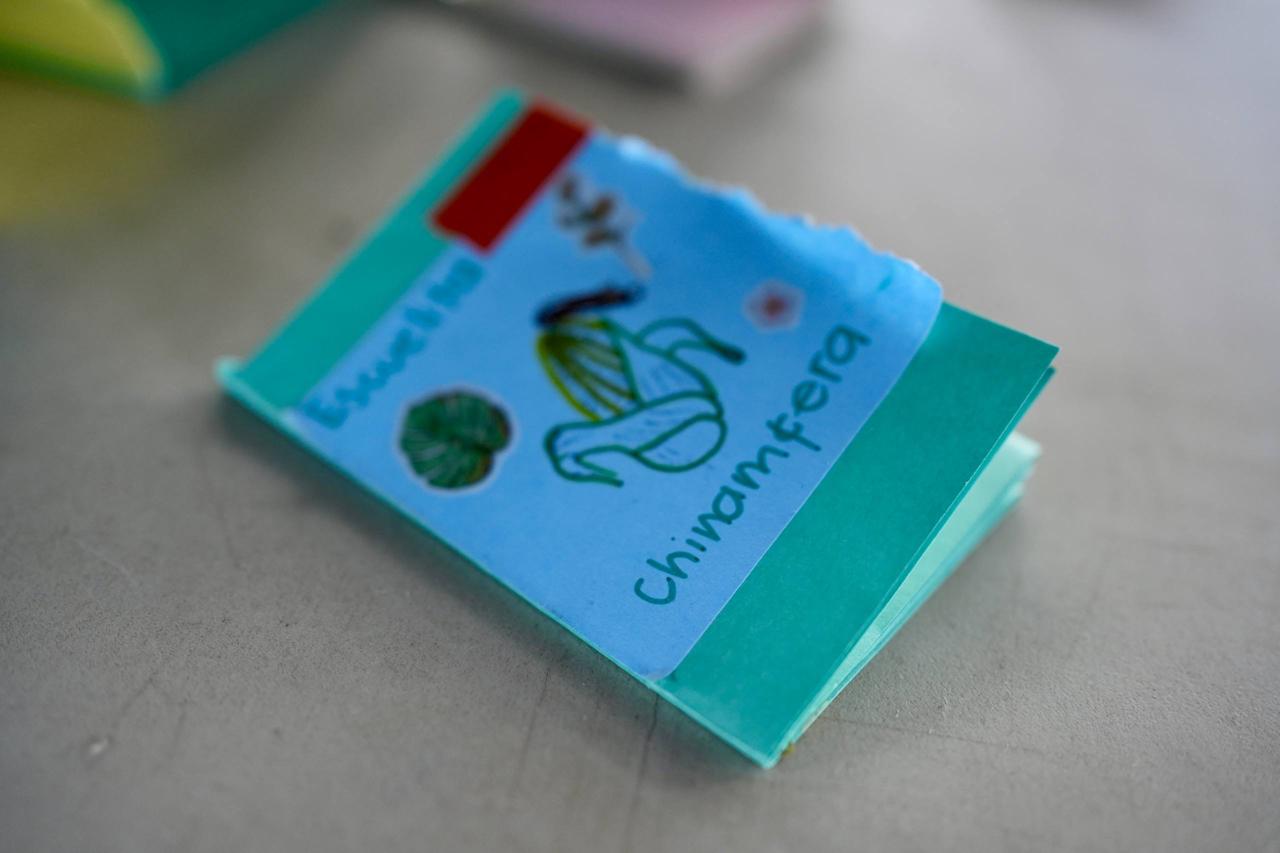 WhatsApp Image 2025-12-06 at 8.17.49 PM (2).jpeg