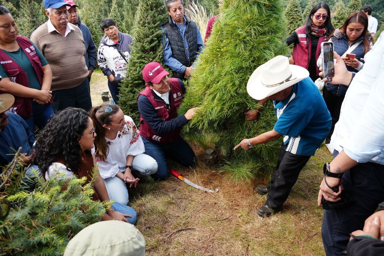 WhatsApp Image 2025-12-06 at 11.12.18 AM (2).jpeg