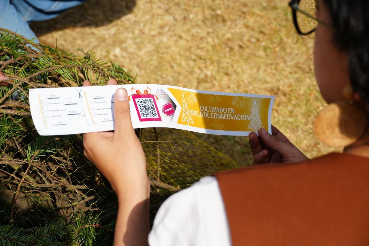 WhatsApp Image 2025-12-06 at 11.12.17 AM.jpeg