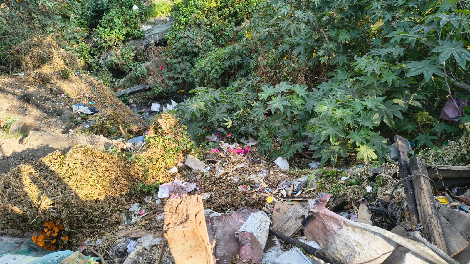 WhatsApp Image 2025-12-06 at 8.59.06 PM (2).jpeg