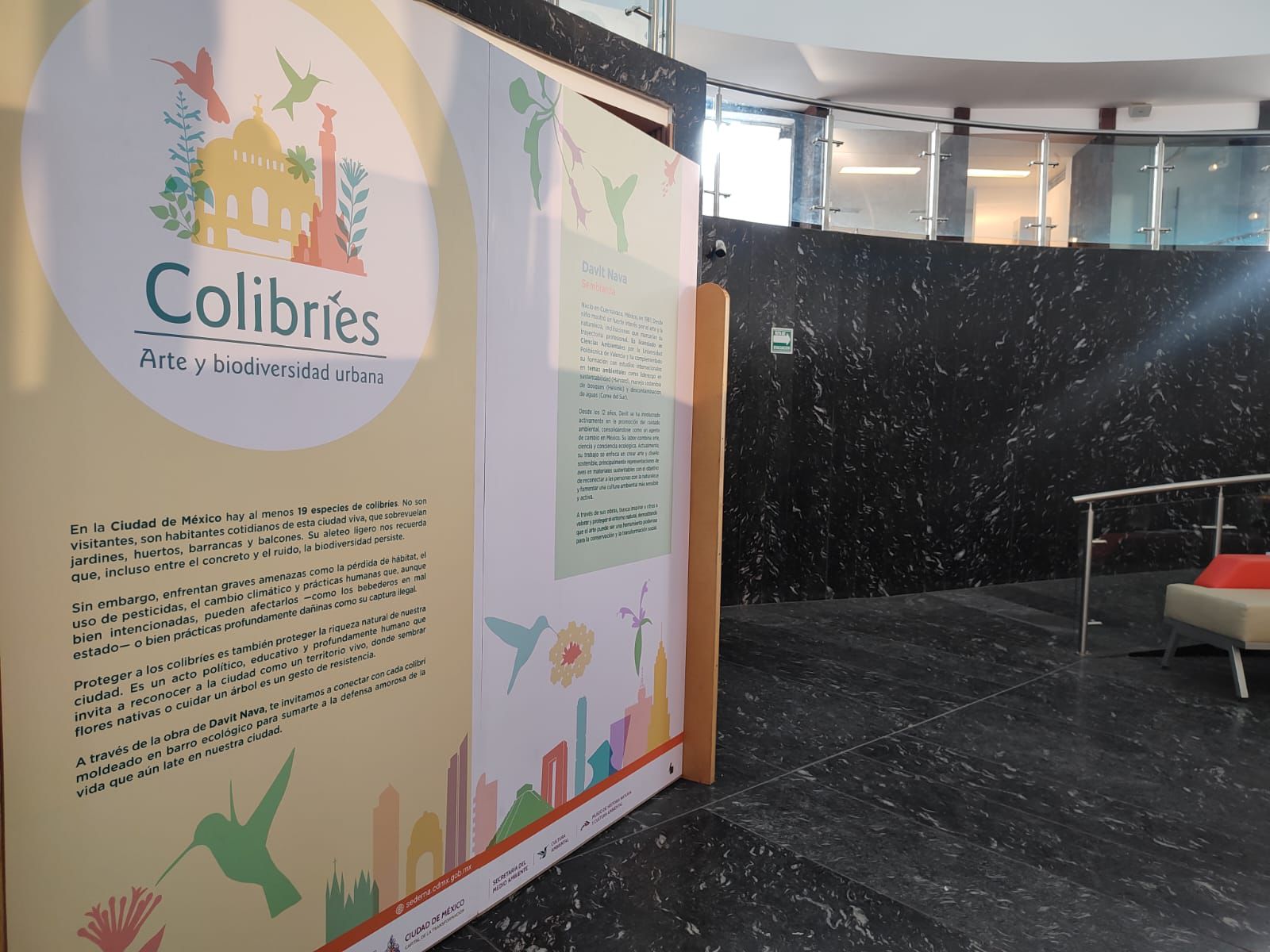 WhatsApp Image 2025-12-08 at 11.28.09.jpeg