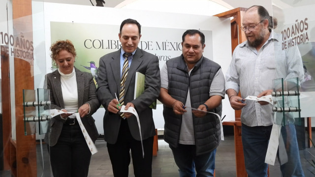 WhatsApp Image 2025-12-12 at 13.41.08.jpeg