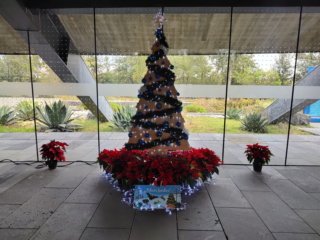 CCA Chapultepec (1).jpg