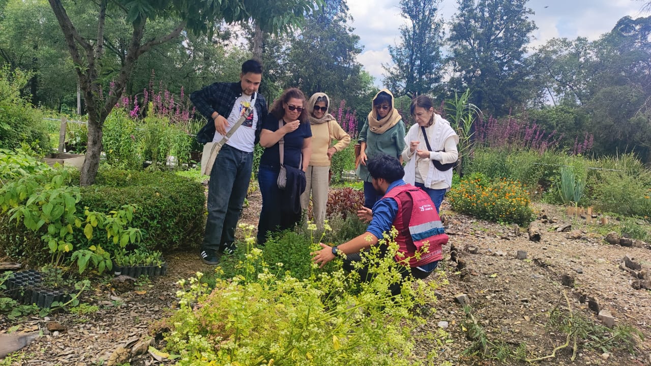 Recorrido asistido CCA Chapultepec.jpg