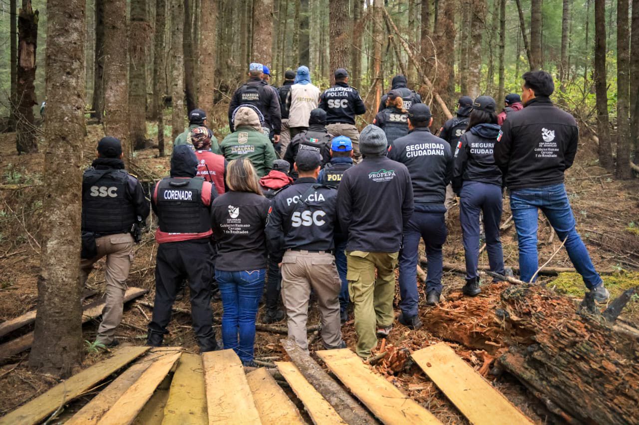 WhatsApp Image 2026-01-16 at 12.06.17 PM (1).jpeg