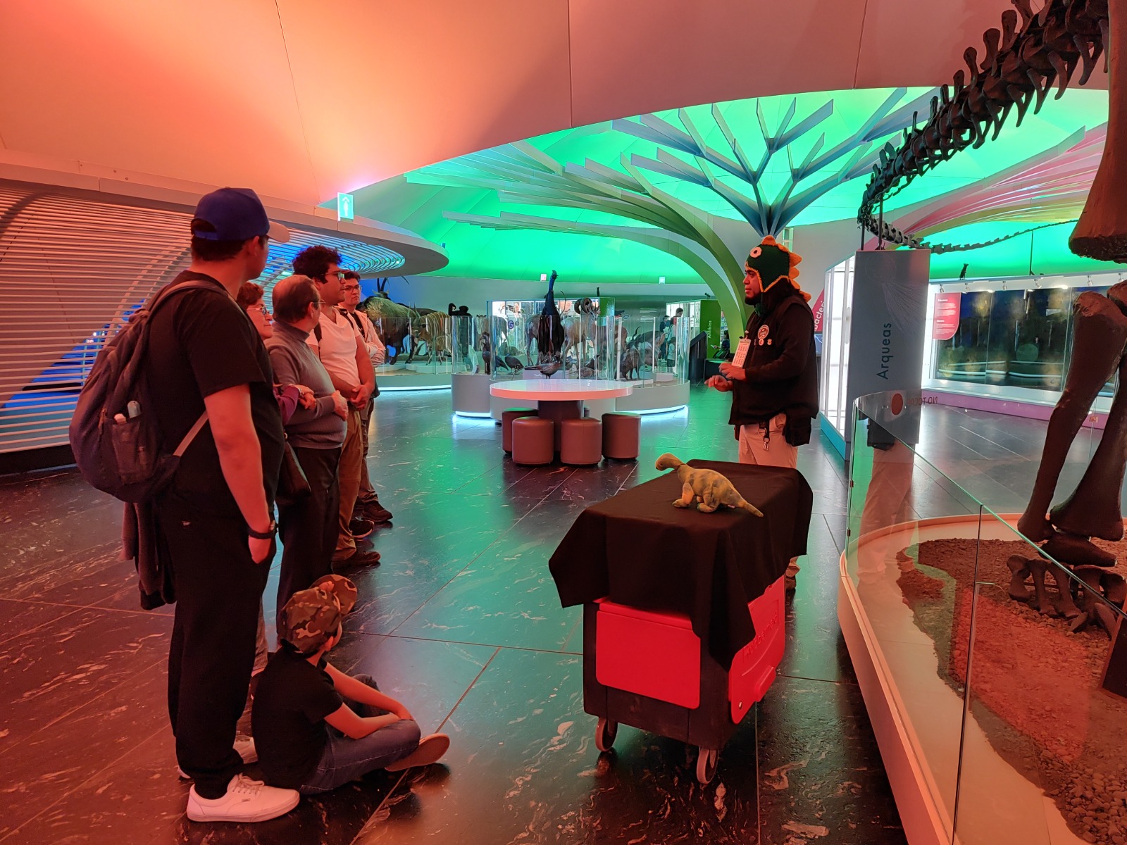 WhatsApp Image 2026-01-26 at 3.17.37 PM.jpeg