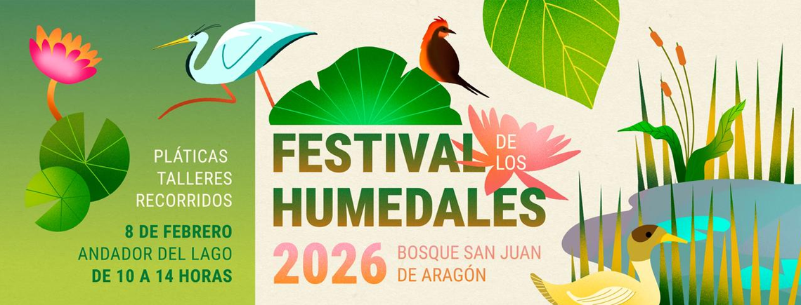 Festival humedales BJSA
