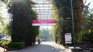 27 años cuidando la vida silvestre del Valle de México: Aniversario del CCVS Los Coyotes