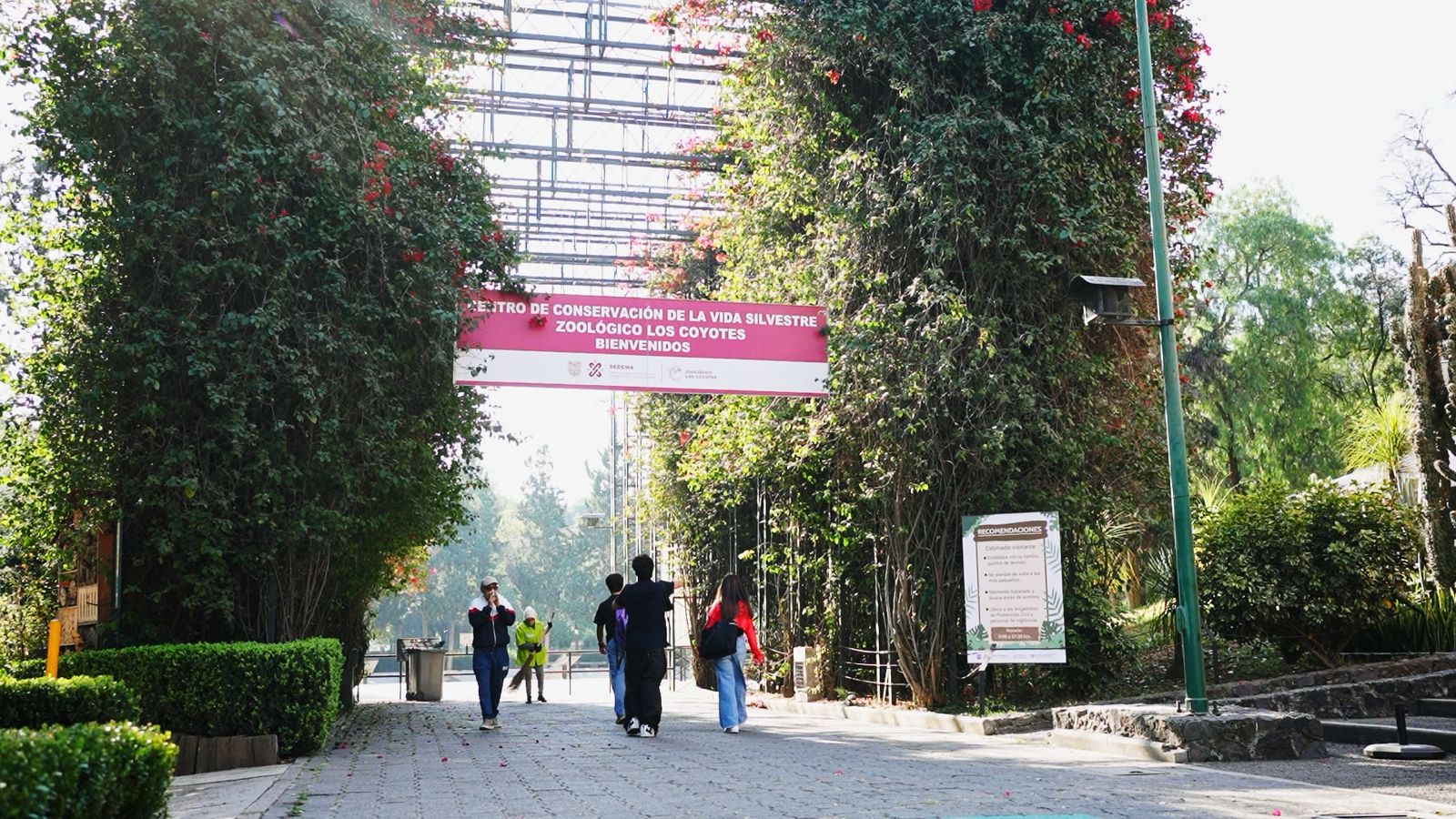 WhatsApp Image 2026-01-27 at 2.05.35 PM (1).jpeg