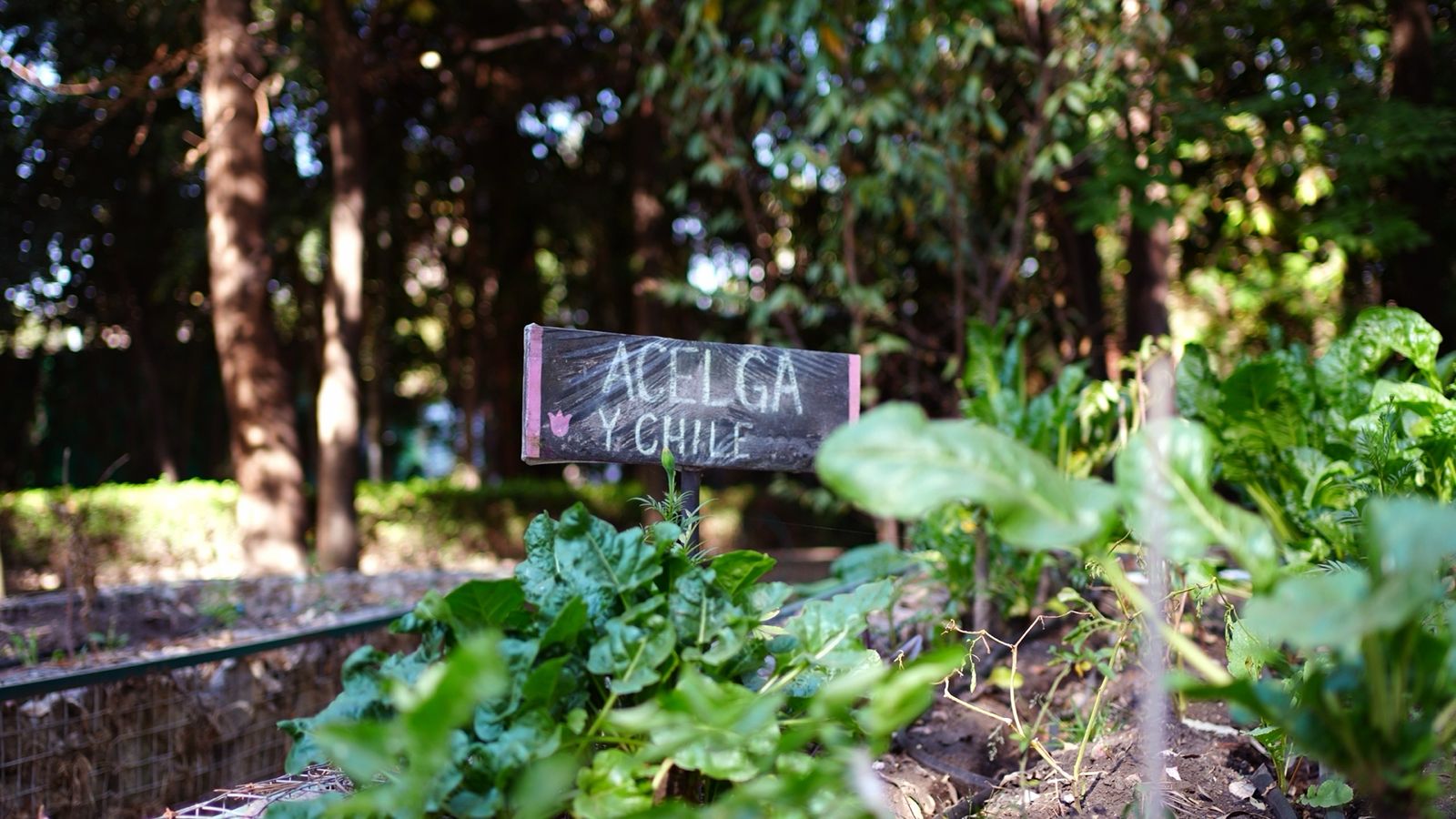 WhatsApp Image 2026-01-27 at 2.05.35 PM.jpeg