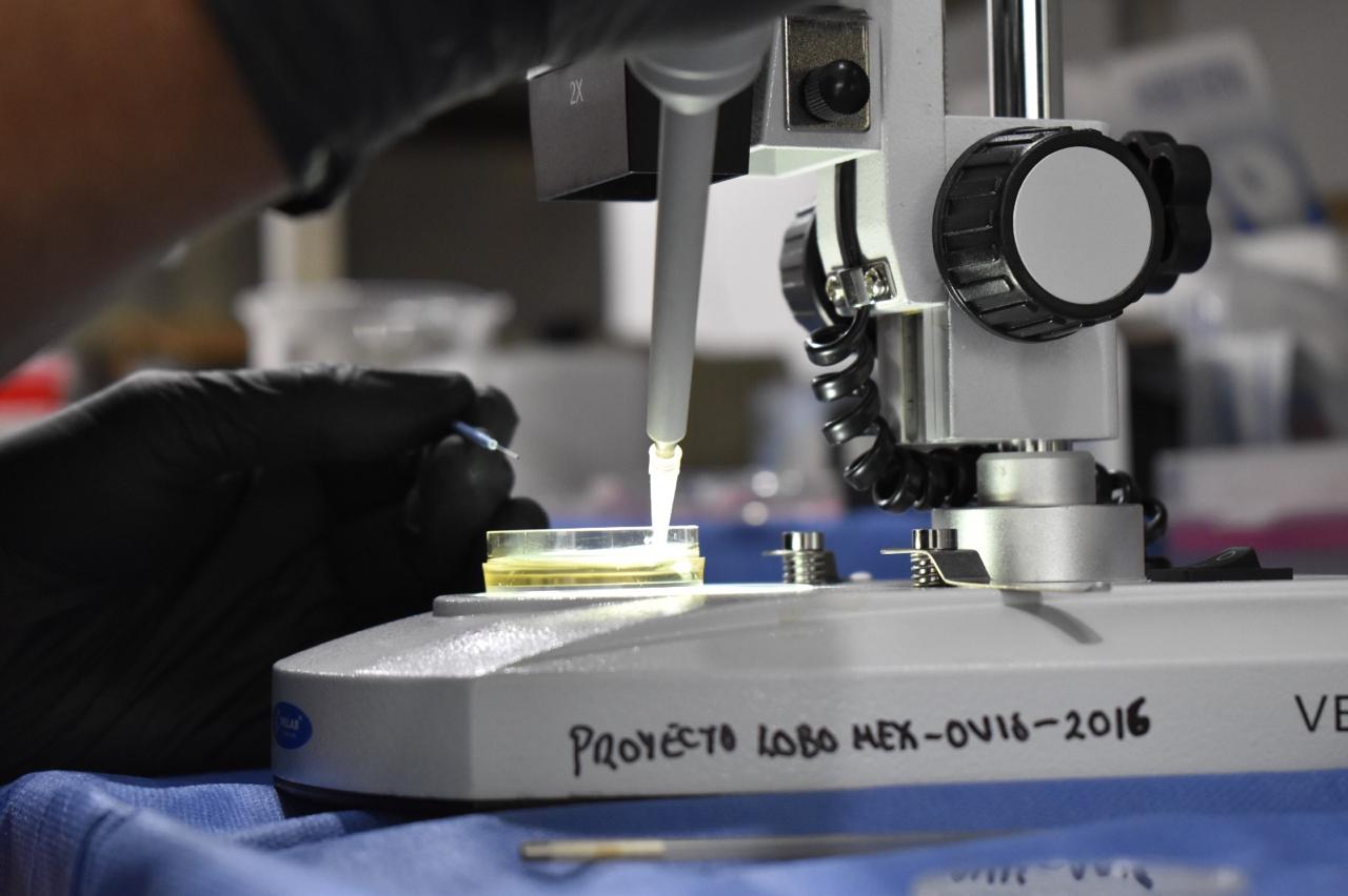 WhatsApp Image 2026-02-25 at 4.12.03 PM.jpeg