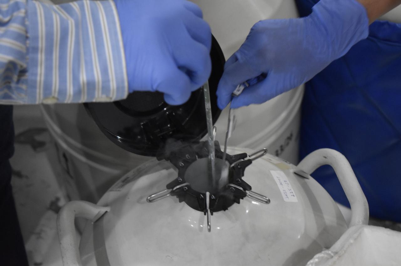 WhatsApp Image 2026-02-25 at 4.12.04 PM-2.jpeg