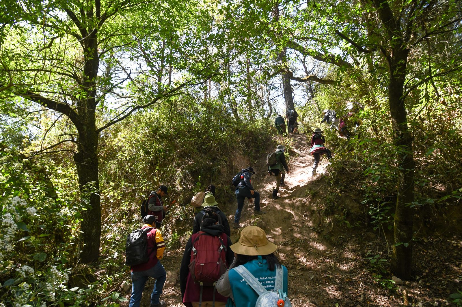 WhatsApp Image 2026-02-26 at 10.27.06 AM-2.jpeg