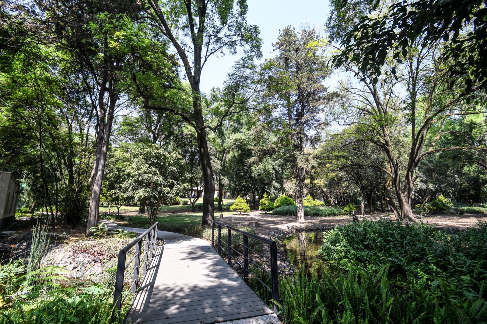 WhatsApp Image 2026-02-27 at 4.39.32 PM.jpeg