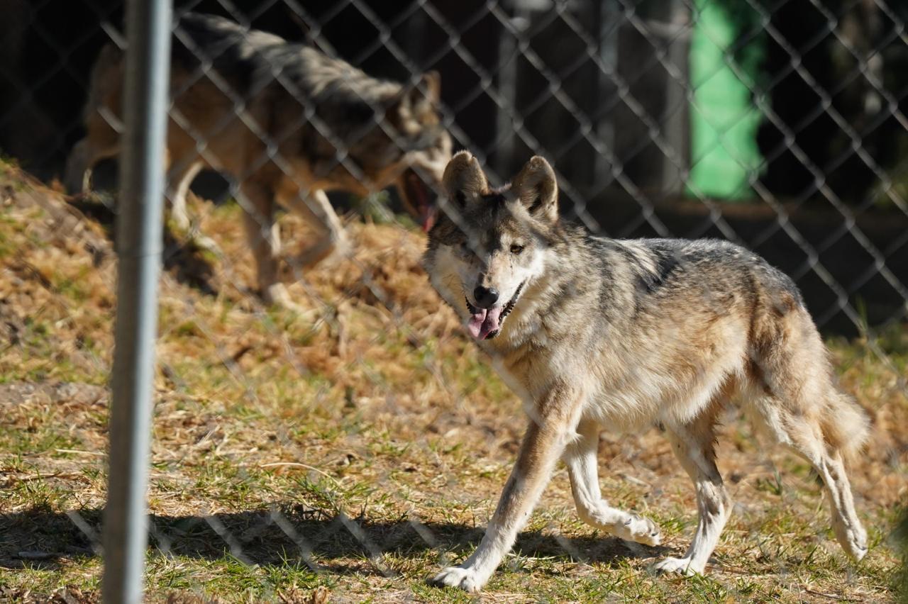 WhatsApp Image 2026-03-05 at 4.15.54 PM-2.jpeg