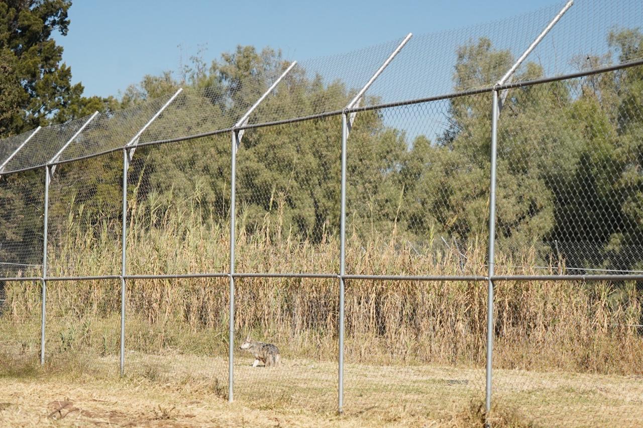 WhatsApp Image 2026-03-05 at 4.15.54 PM-3.jpeg