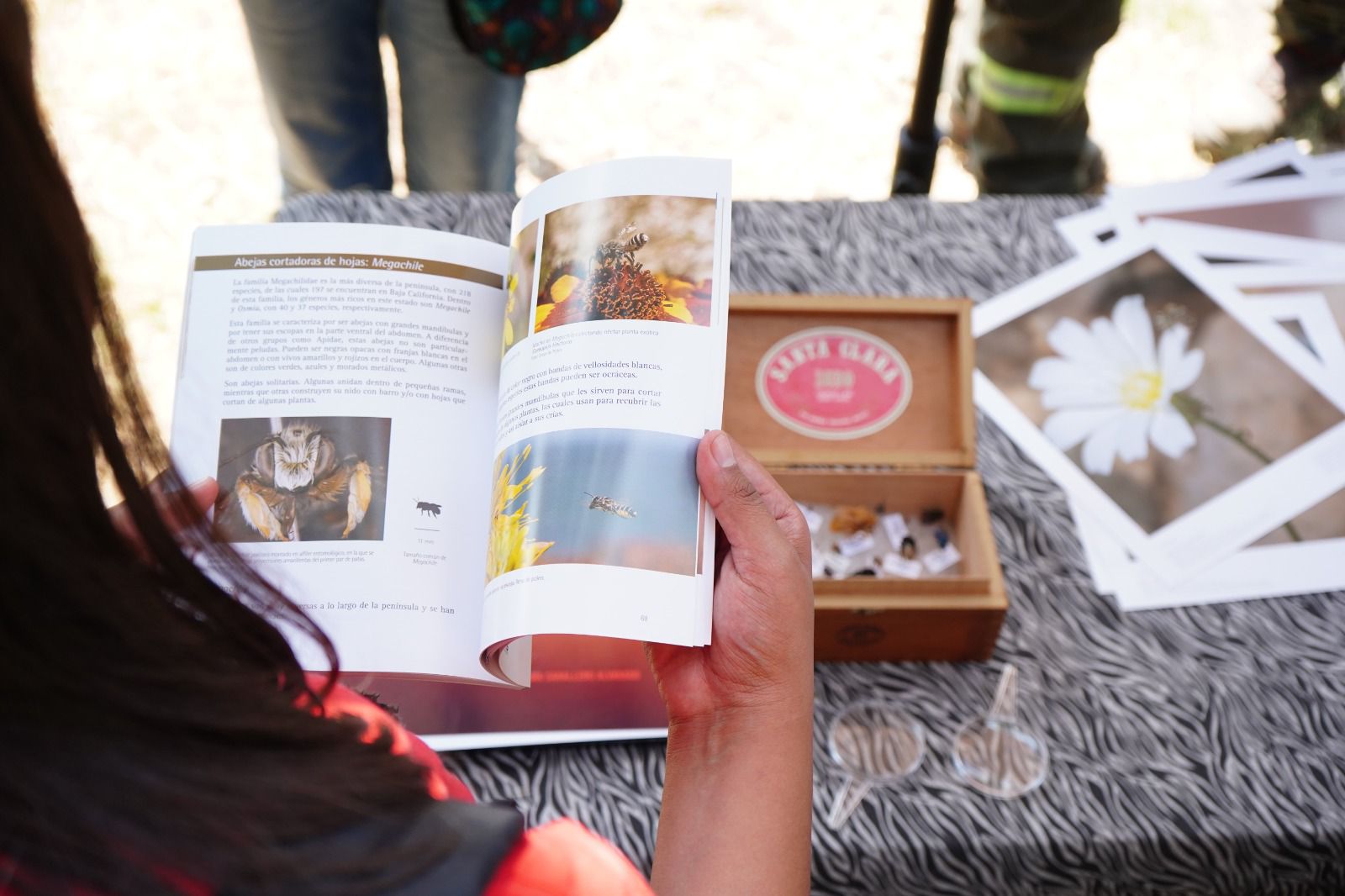 WhatsApp Image 2026-03-17 at 10.50.14 AM (5).jpeg