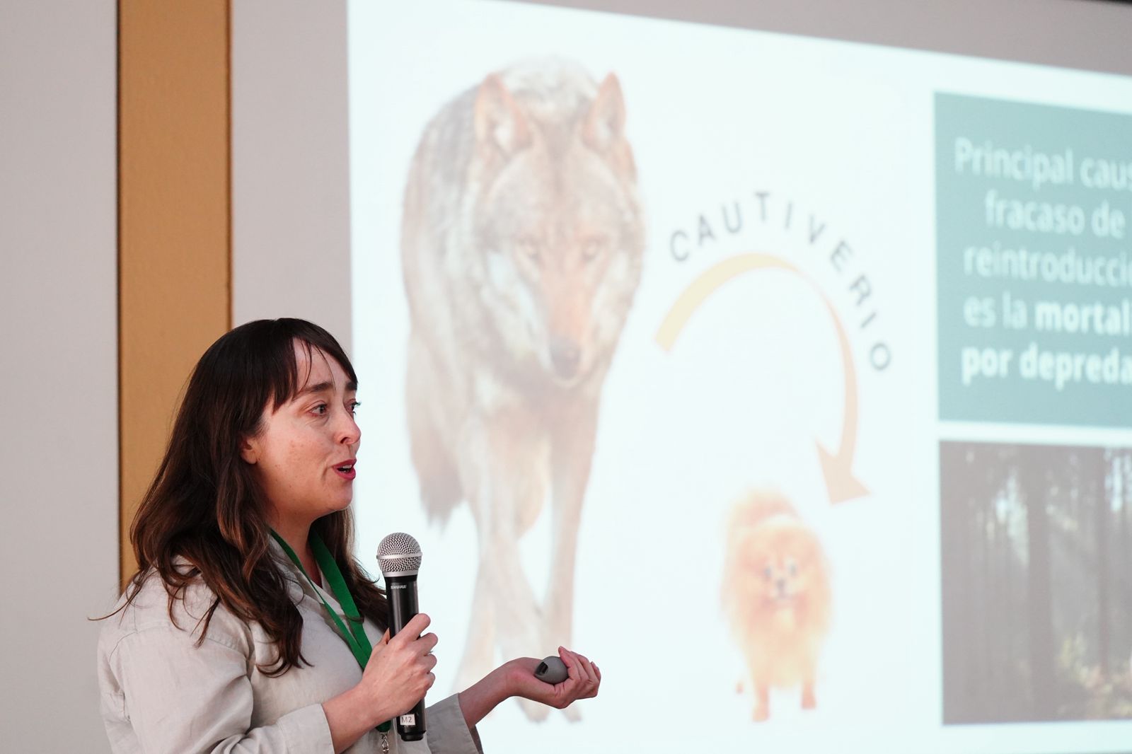 WhatsApp Image 2026-03-17 at 10.50.15 AM (4).jpeg