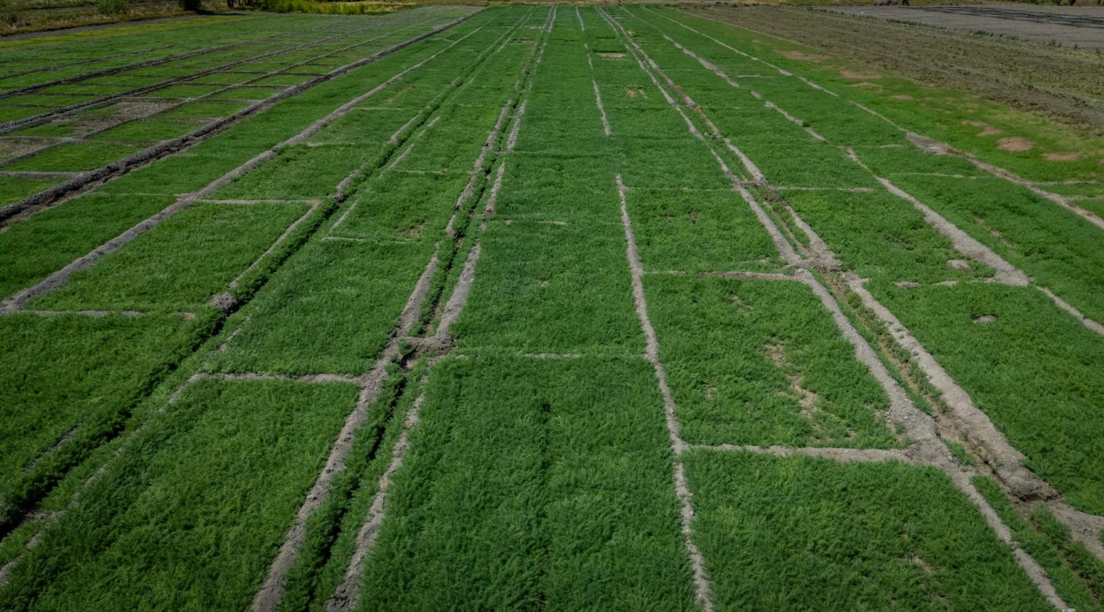 WhatsApp Image 2026-03-24 at 6.29.51 PM (1).jpeg