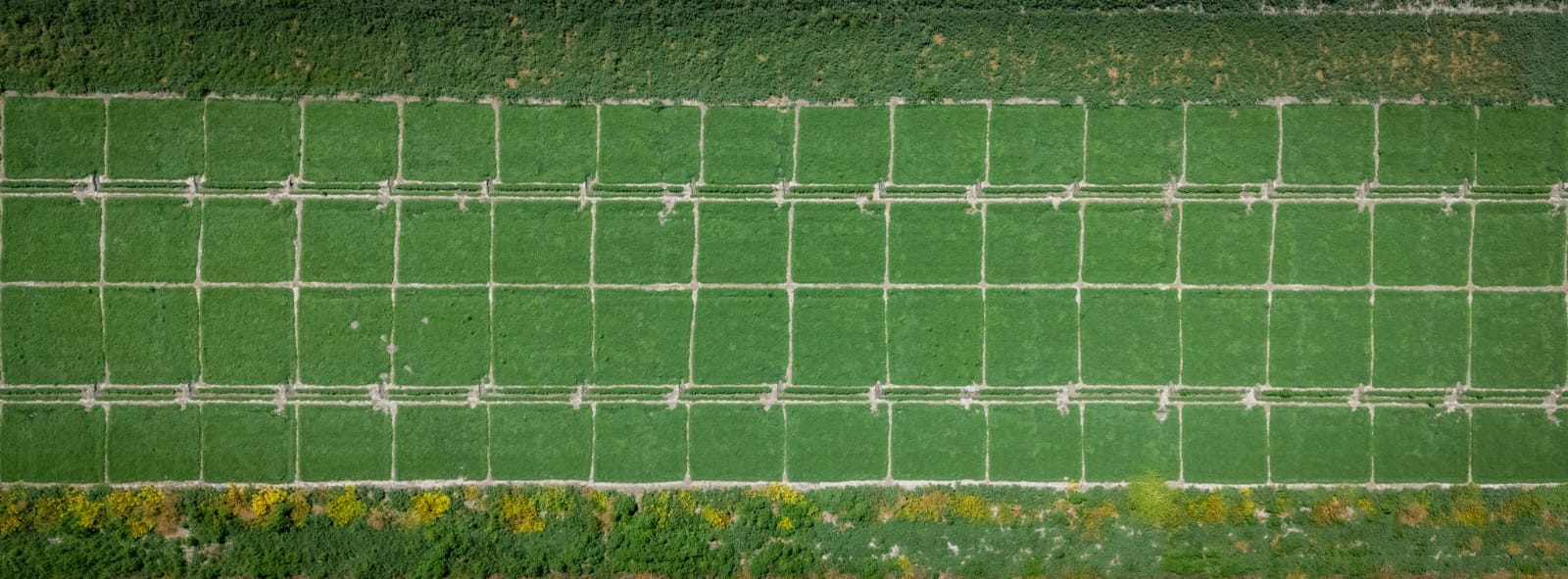 WhatsApp Image 2026-03-24 at 6.29.50 PM.jpeg