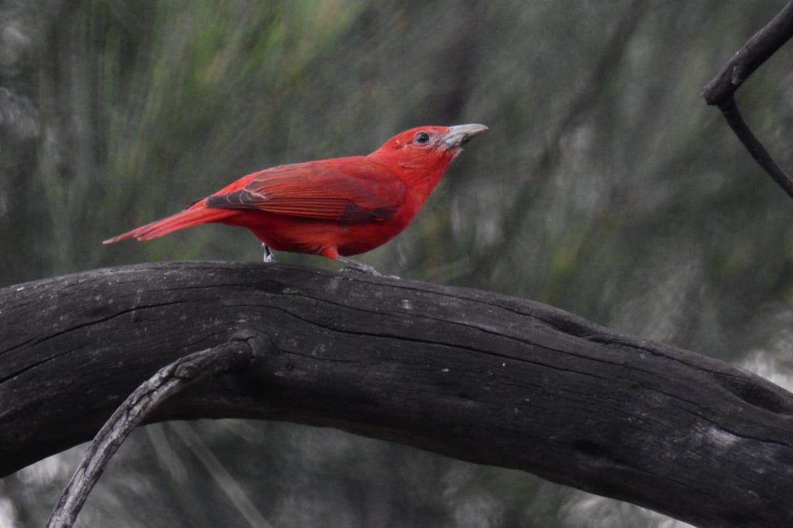 WhatsApp Image 2026-03-25 at 11.18.33 AM (1).jpeg