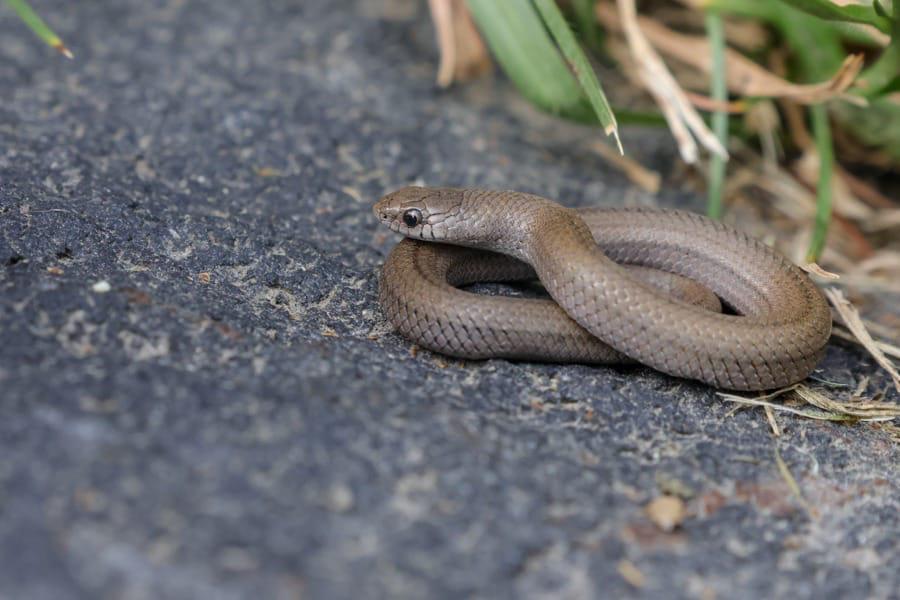 WhatsApp Image 2026-03-25 at 11.18.33 AM (3).jpeg