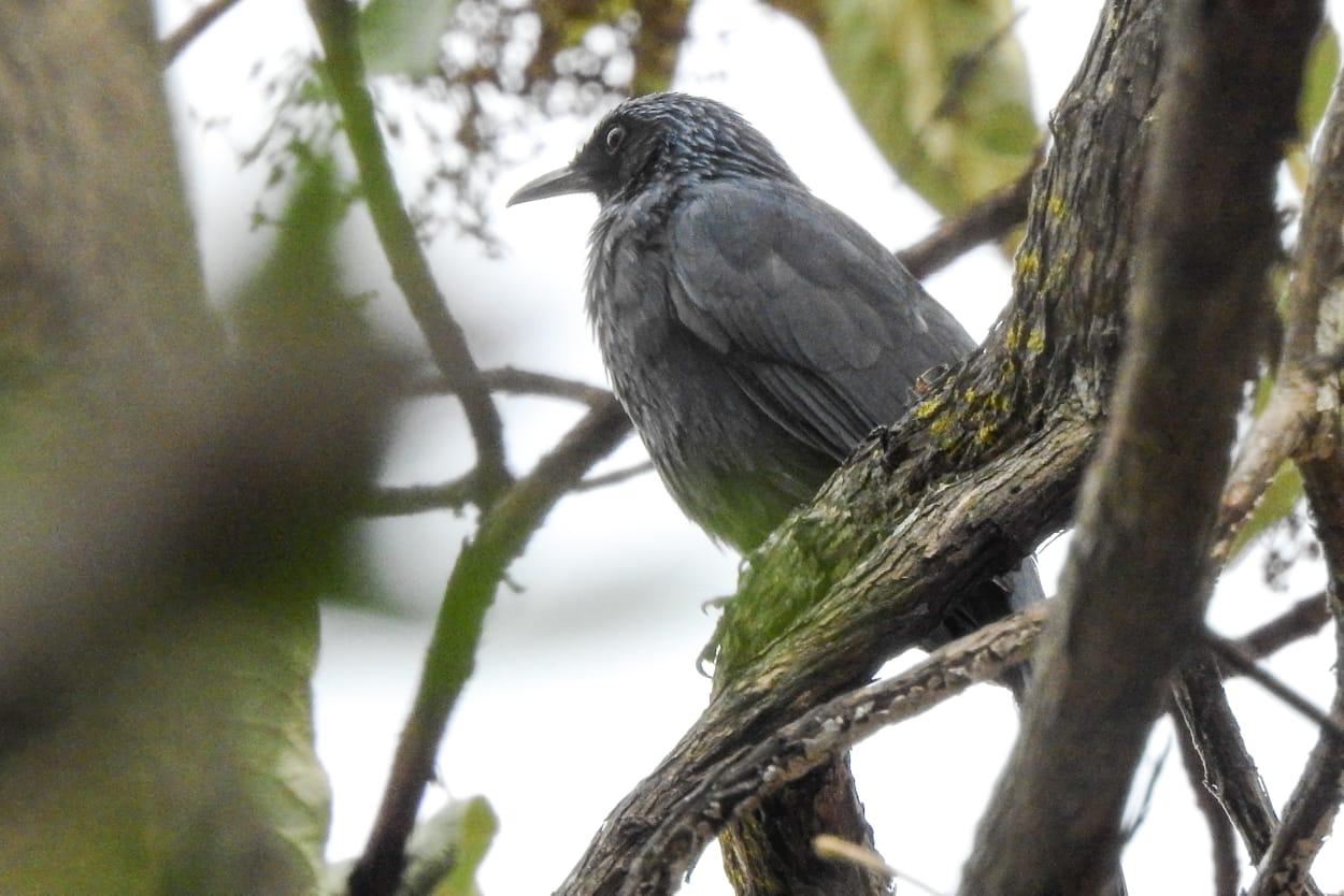 WhatsApp Image 2026-03-25 at 11.18.33 AM.jpeg